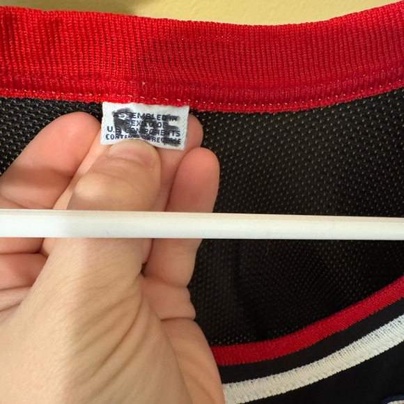 Vintage 90s Champion Bulls Black and Red Jersey Luc Longley - Picture 3 of 4